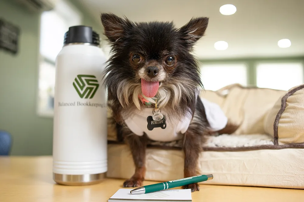 Headshot of Balanced Bookkeeping dog and mascot Penelope